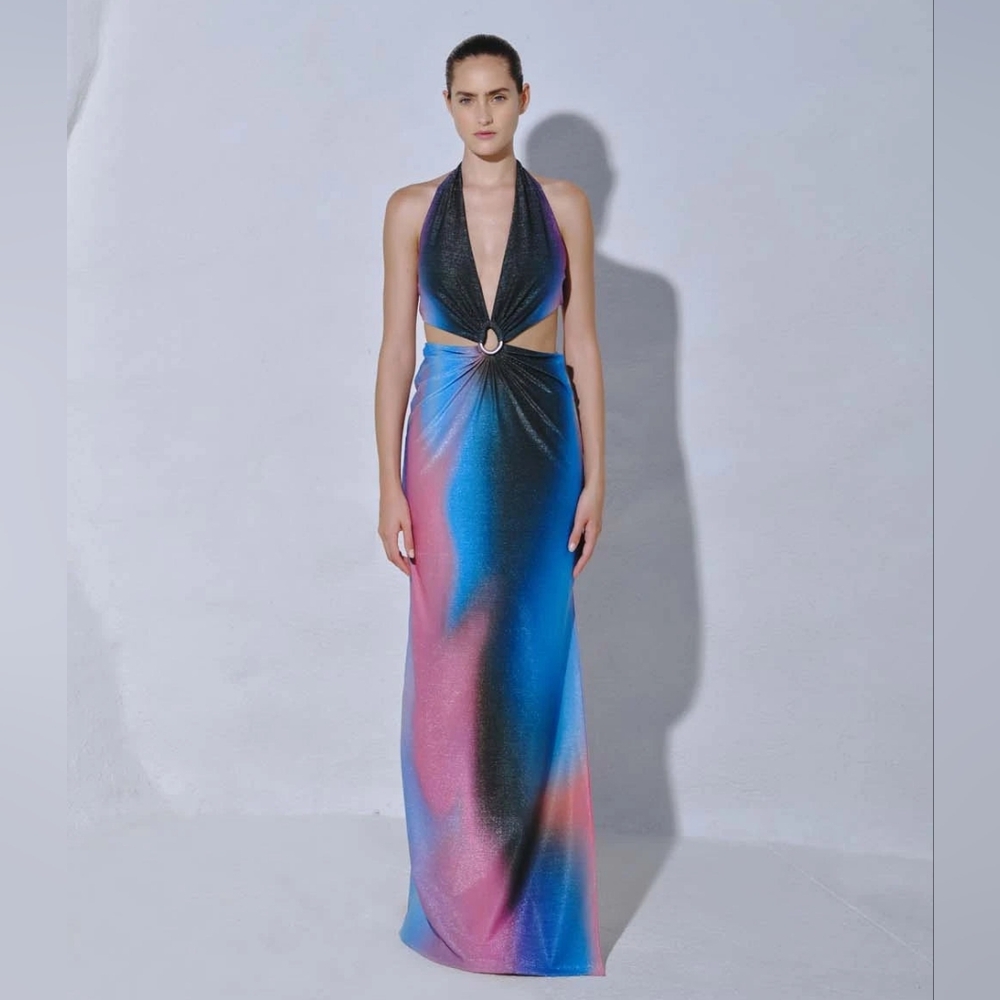 B5. NWT BAOBAB ODETTE MAXI DRESS